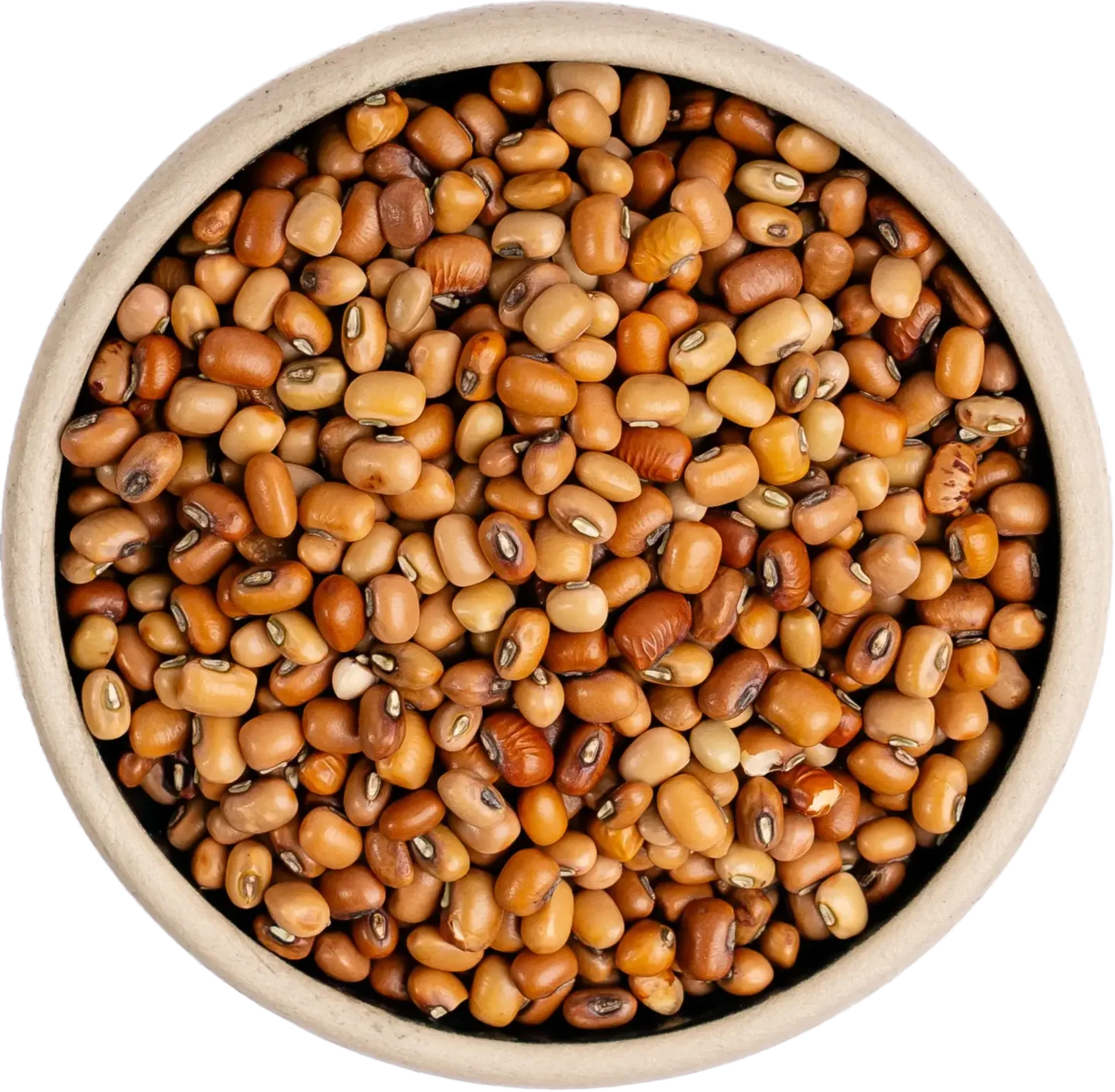 Brown Chora (Adzuki Beans)