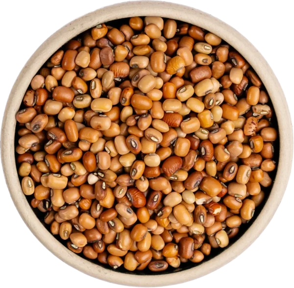 Brown Chora (Adzuki Beans)
