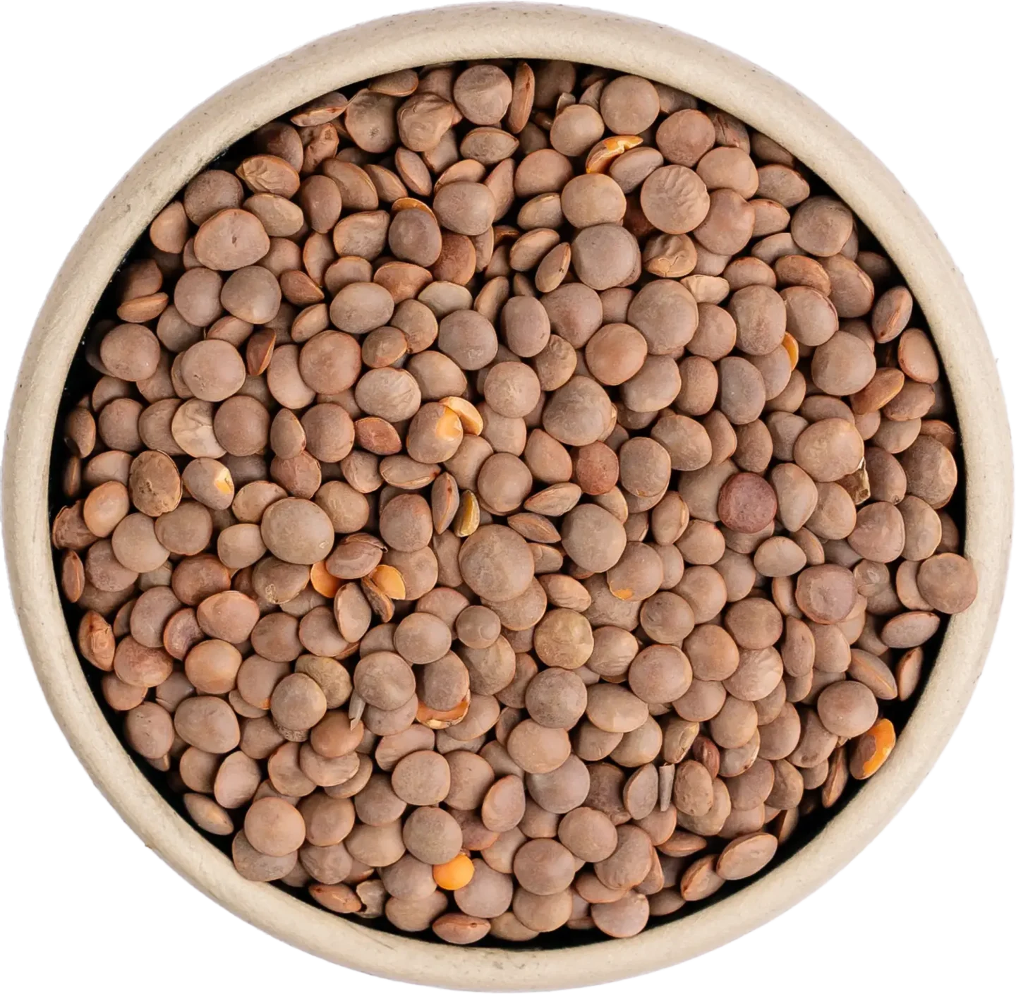 Brown Masoor