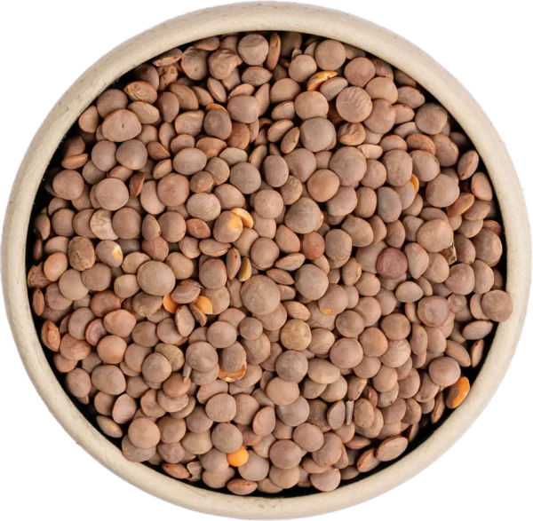 Brown Masoor