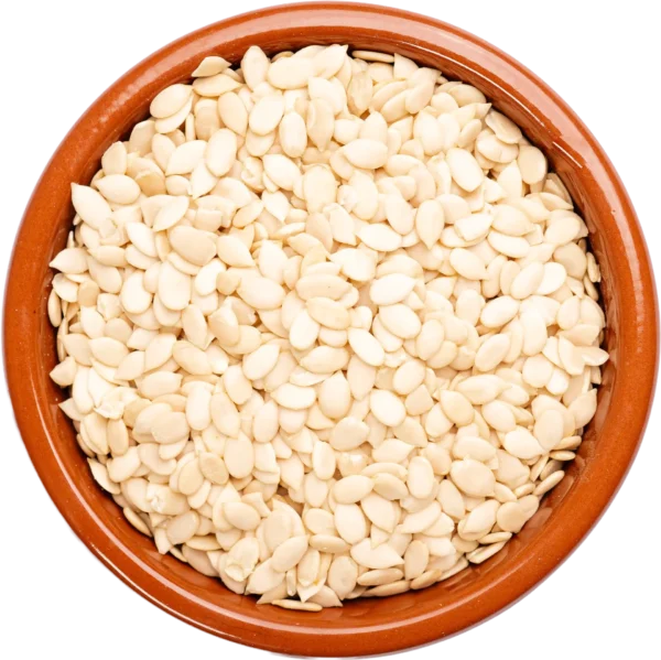Char Magaj (Magajtari)