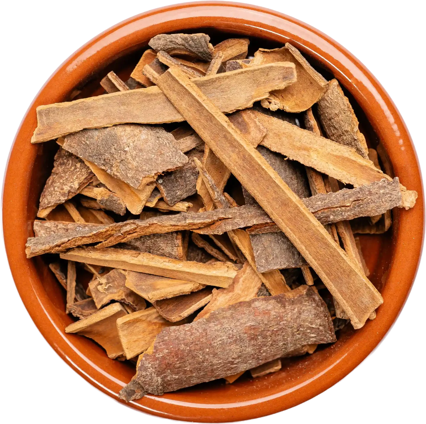 Cinnamon Stick (Tuj)