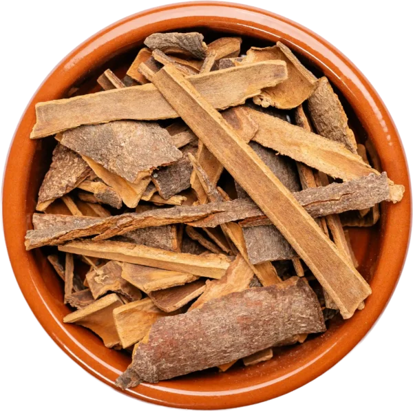 Cinnamon Stick (Tuj)