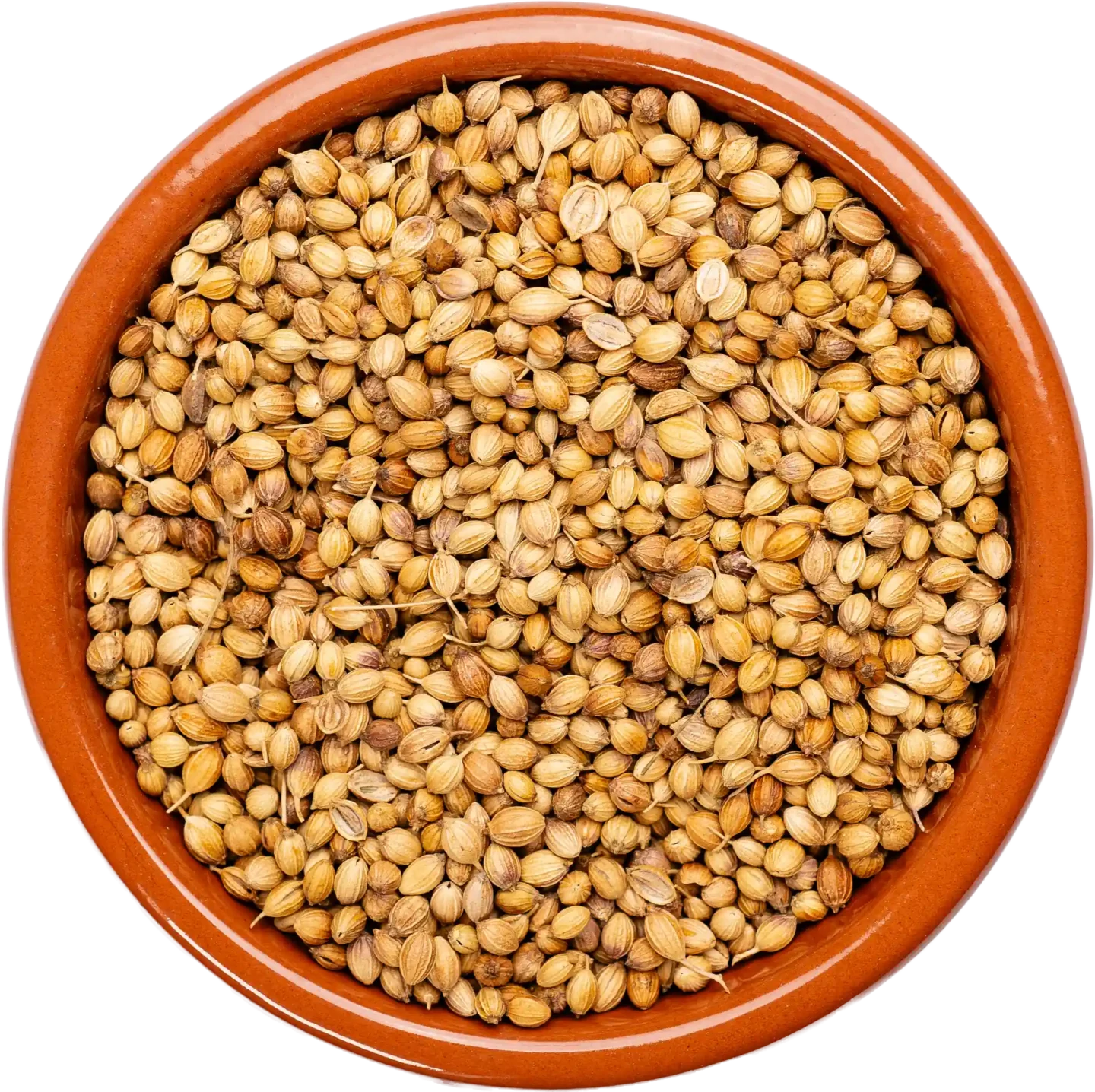 Coriander Seeds (Dhaniya Seeds)