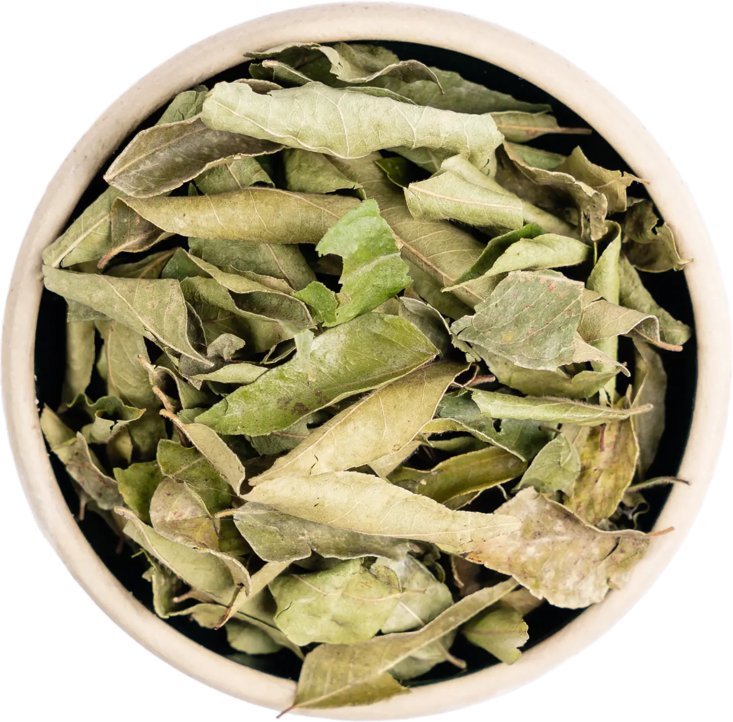 Curry Leaves