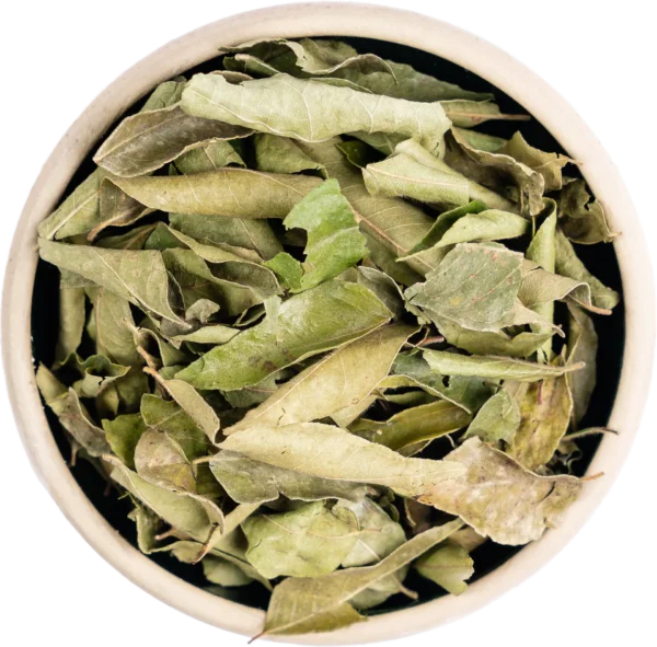 Curry Leaves