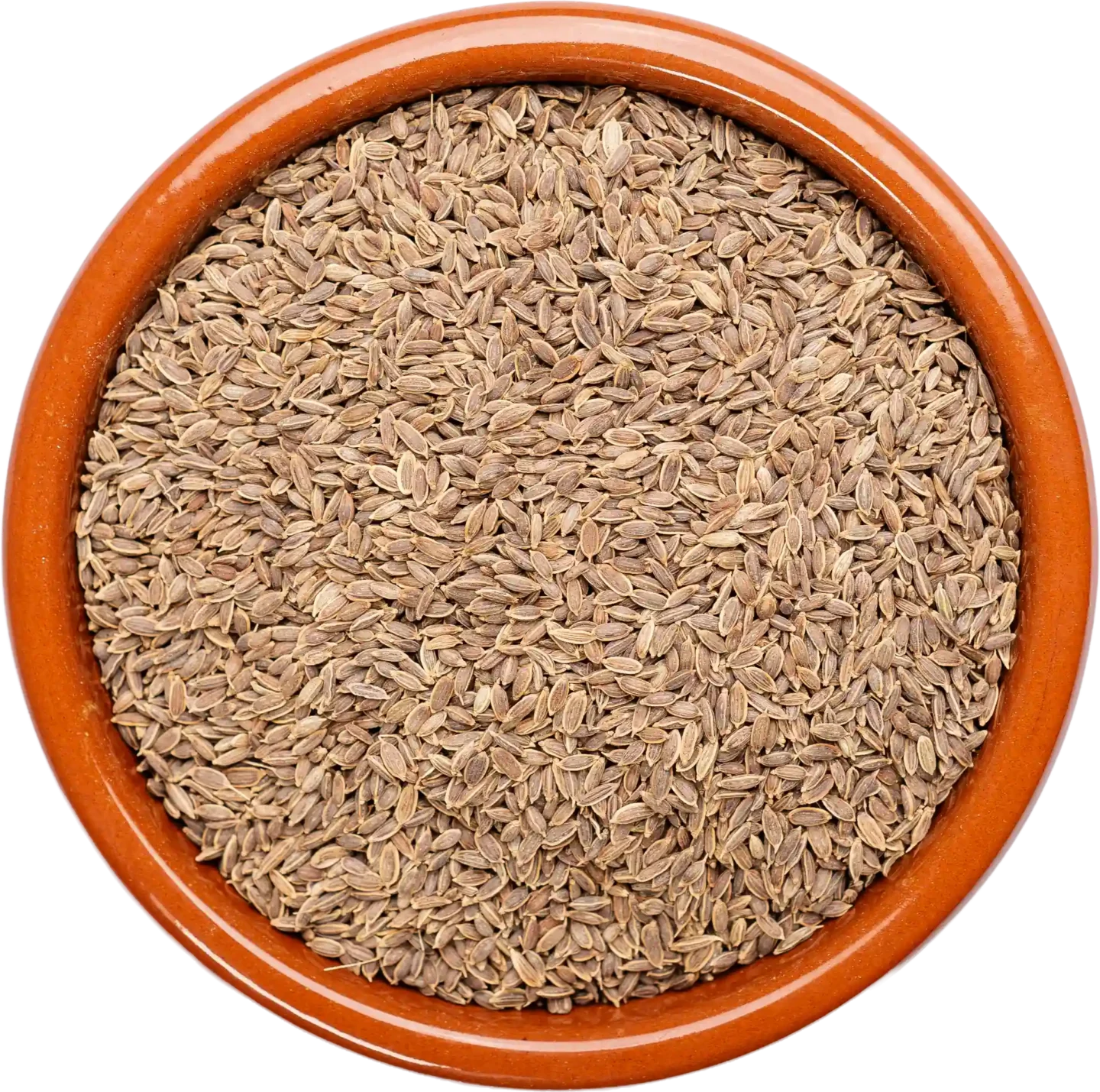 Dill Seeds