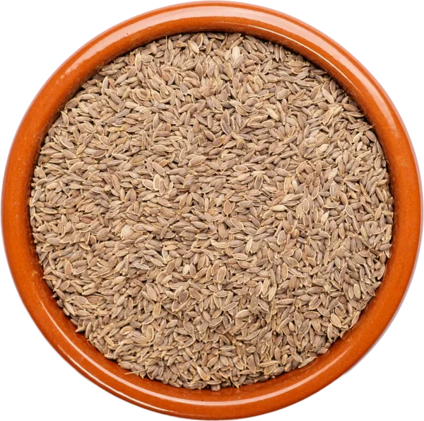 Dill Seeds