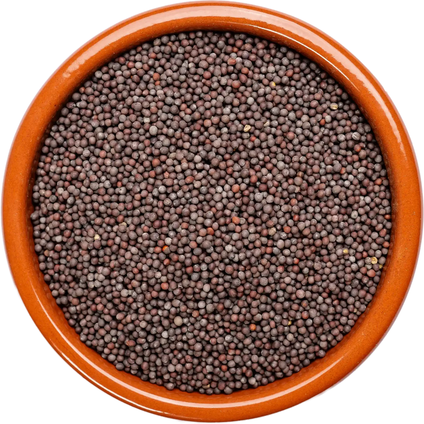 Mustard Seeds (Rai)