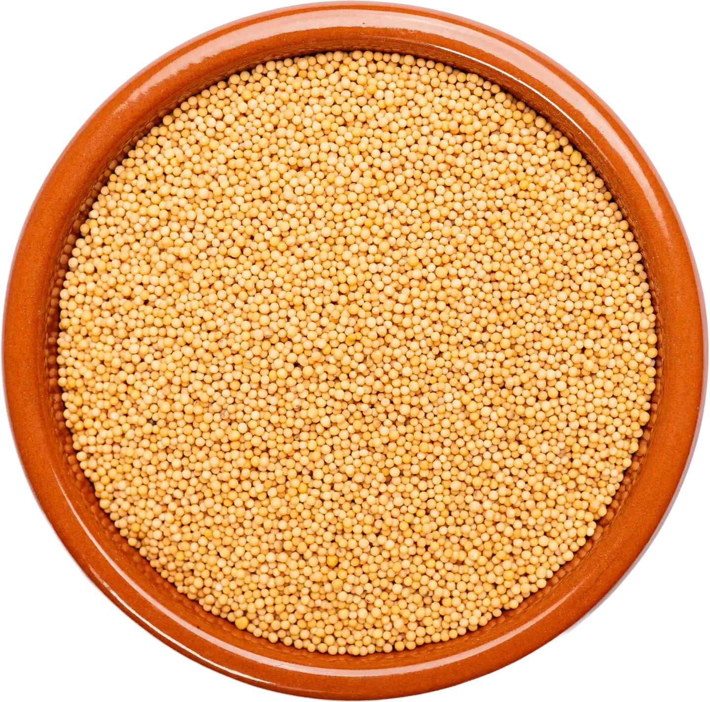 Mustard Seeds Yellow