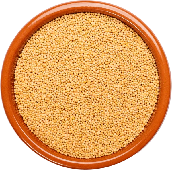 Mustard Seeds Yellow