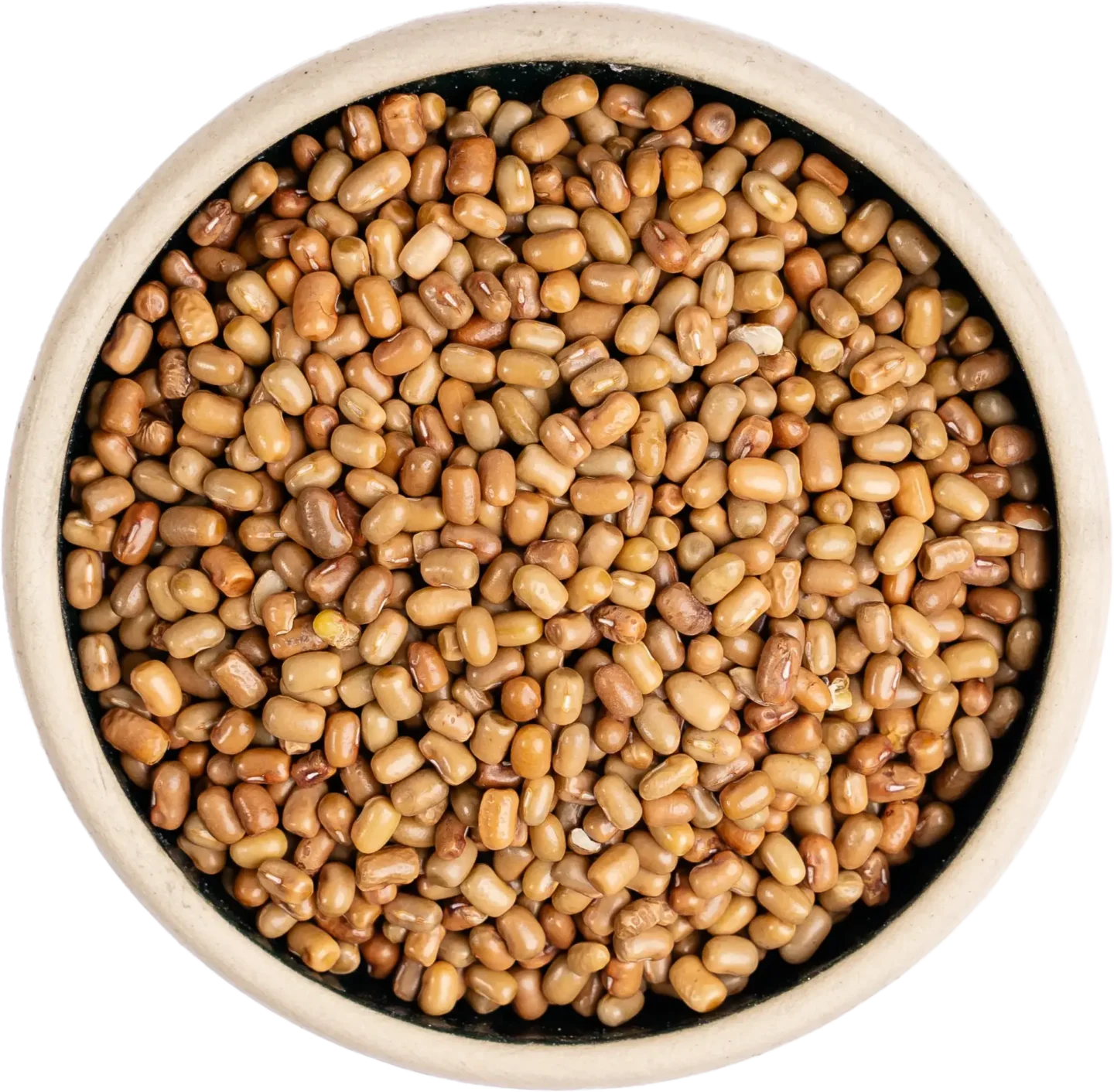 Muth Whole