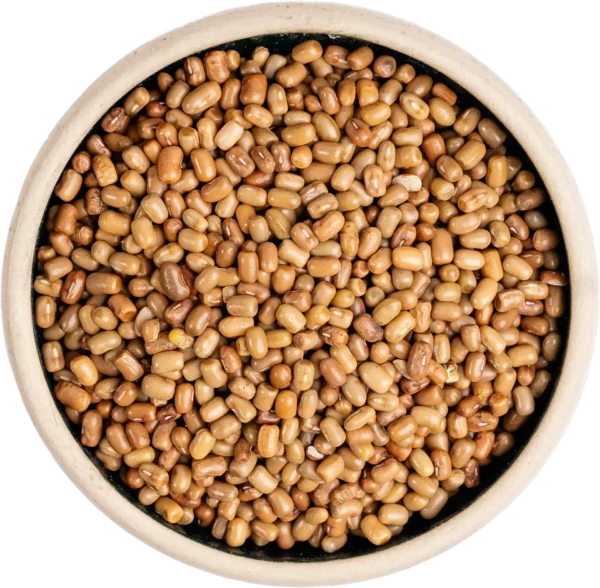 Muth Whole