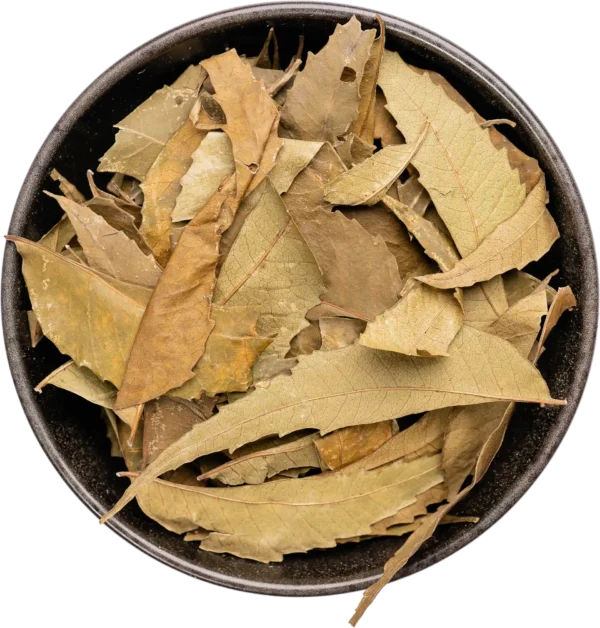 Neem Leaves