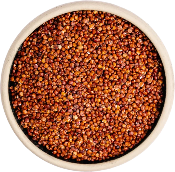 Quinoa Red