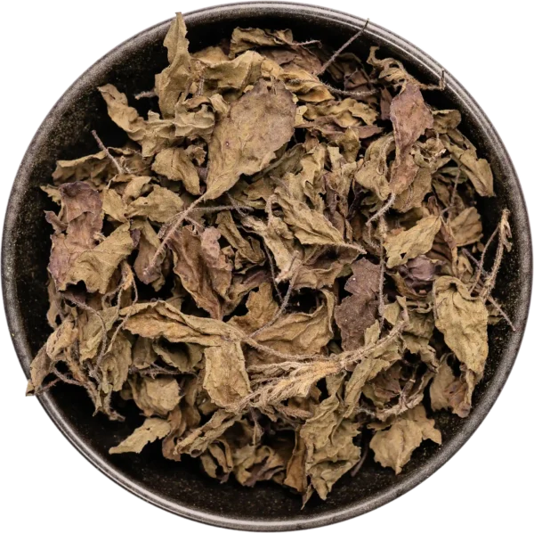 Tulsi Leaves (Tulsi Patta)